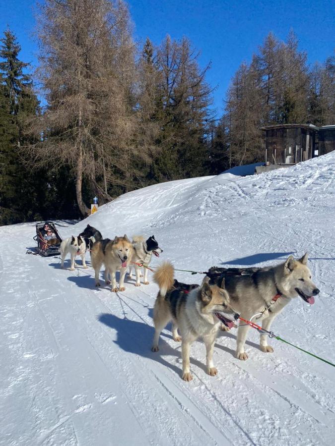 Plagne Bellecote - 5 Pers - Vue Pistes - Acces Piscine Chauffee Lägenhet La Plagne Exteriör bild